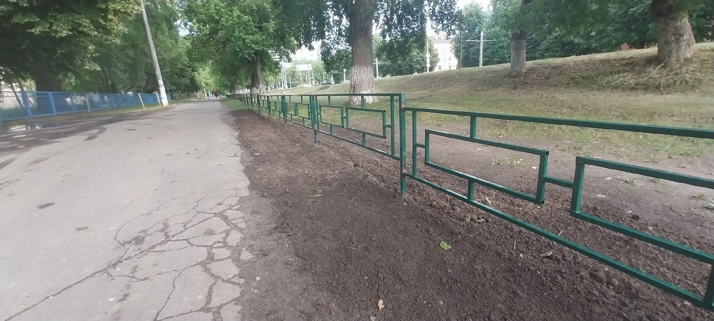 Коломна, ограждение, безопасный переход