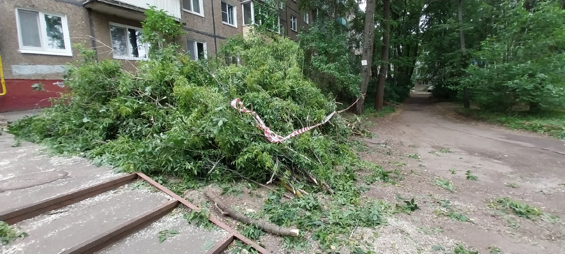 Коломна, опил деревьев, благоустройство