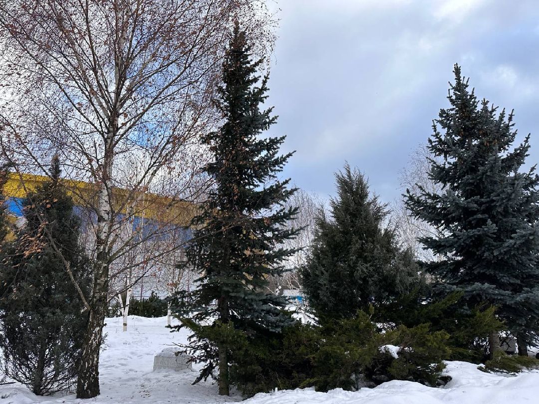 Одинцово, Благоустройство, Малые города, Минстрой, Всероссийский конкурс лучших проектов