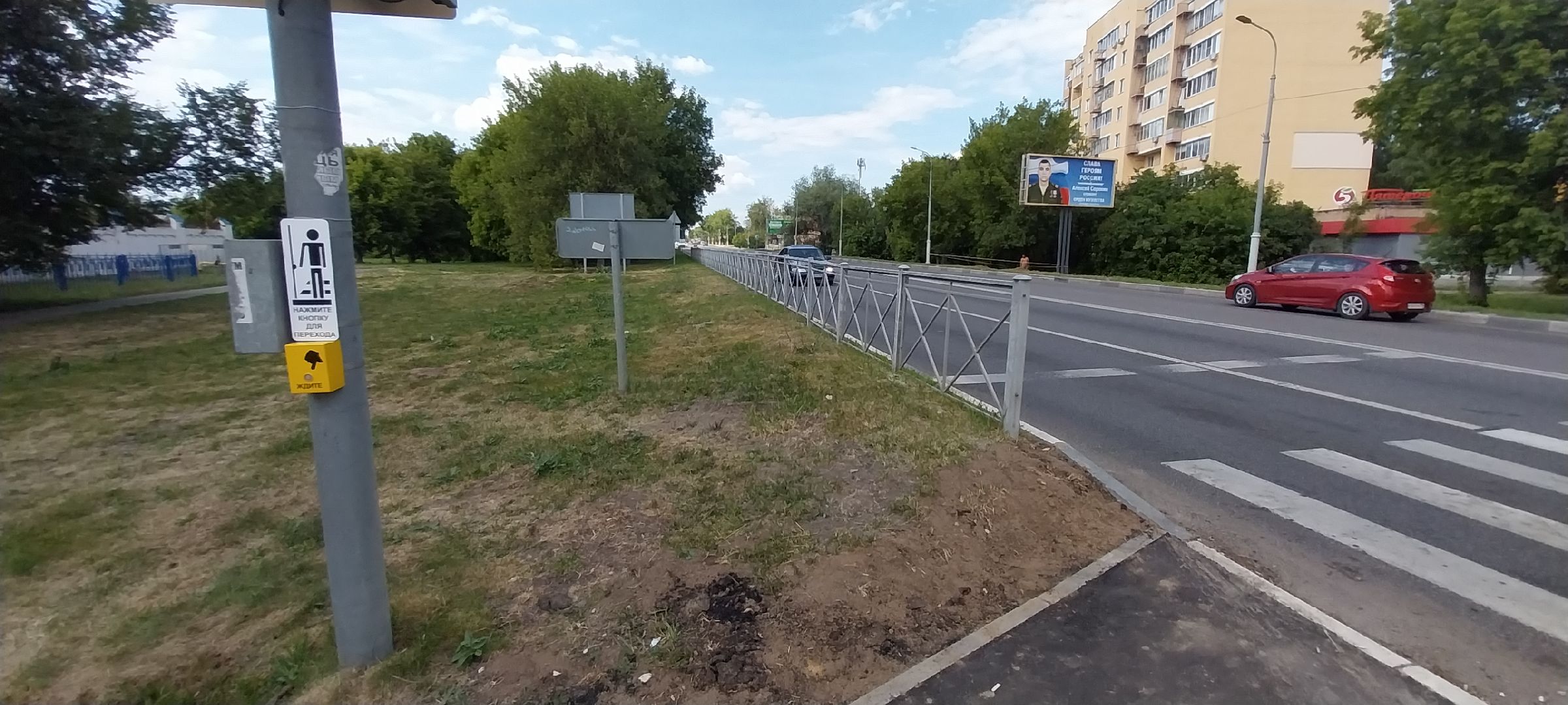 Коломна, пешеходный переход, светофор