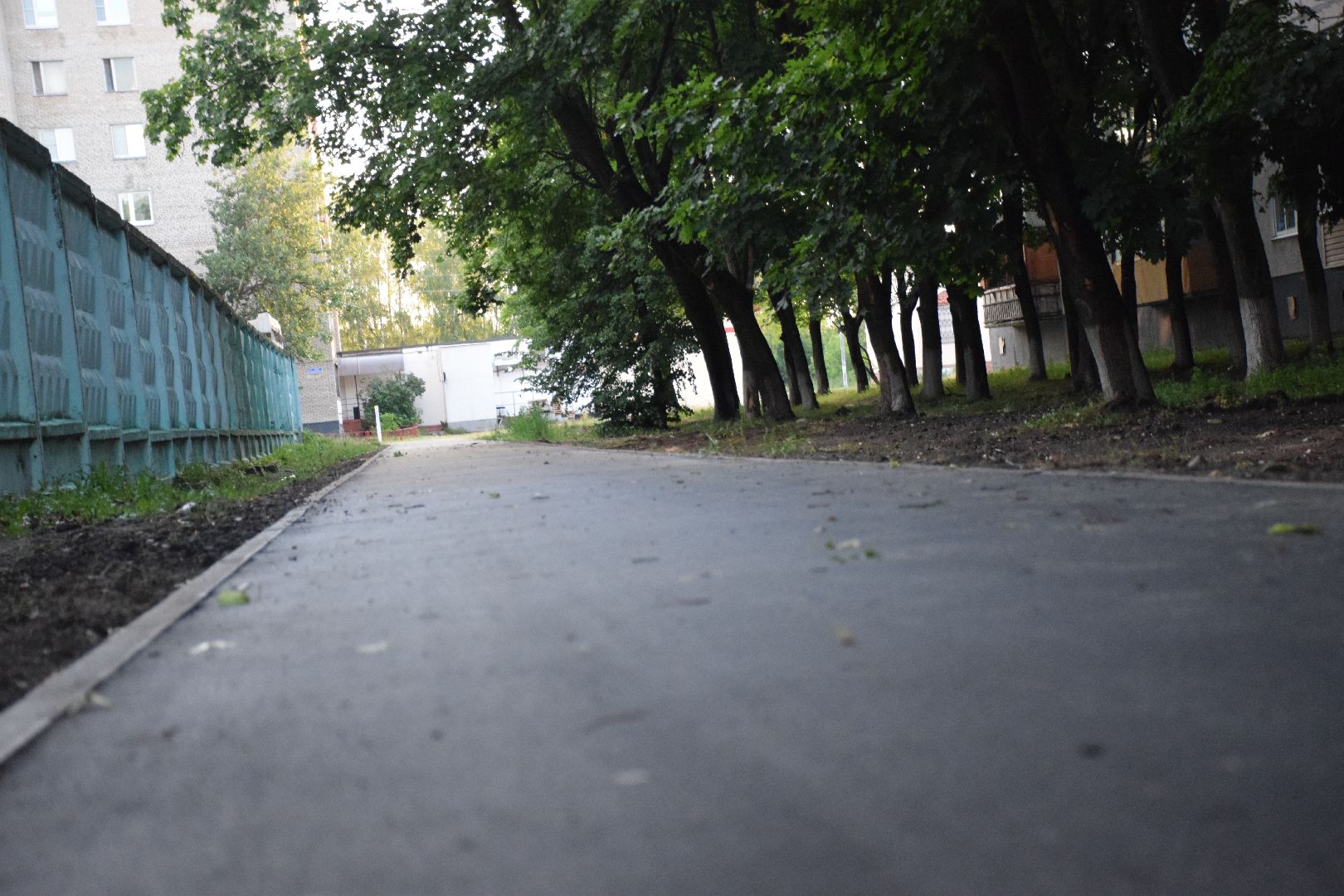 Электрогорск, городской округ Павловский Посад, дорога, тротуар, асфальт, тропа, пешком