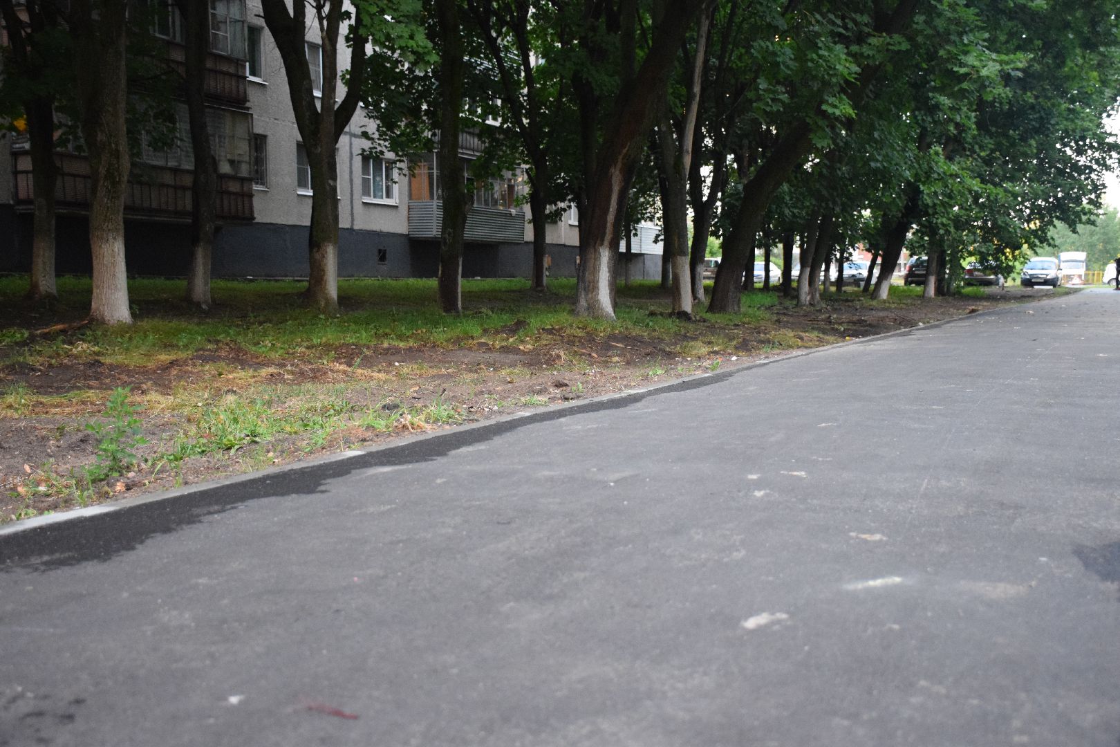 Электрогорск, городской округ Павловский Посад, дорога, тротуар, асфальт, тропа, пешком