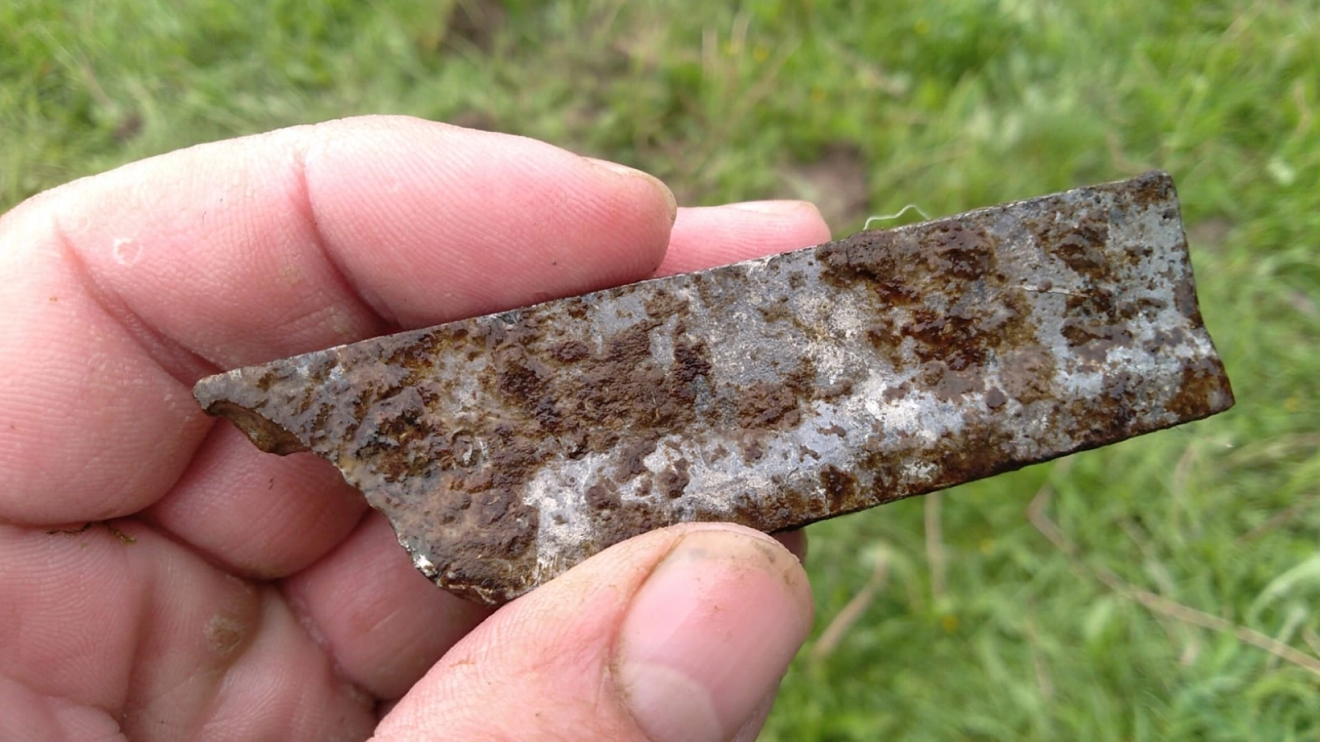 Наро-Фоминский городской округ, поисковое движение России, Пе-2, Великая Отечественная война, история, память, Отряд «Бумеранг-ДОСААФ»