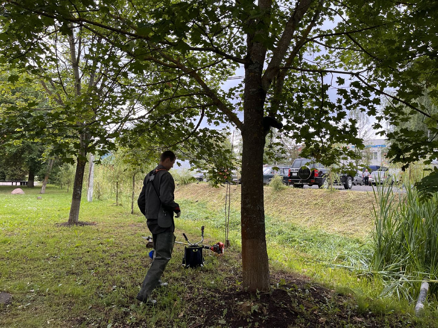 Шаховская, трава, покос, Лера, благоустройство