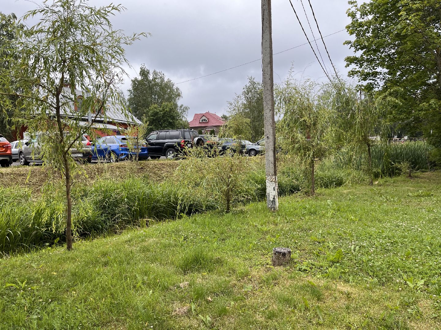 Шаховская, трава, покос, Лера, благоустройство