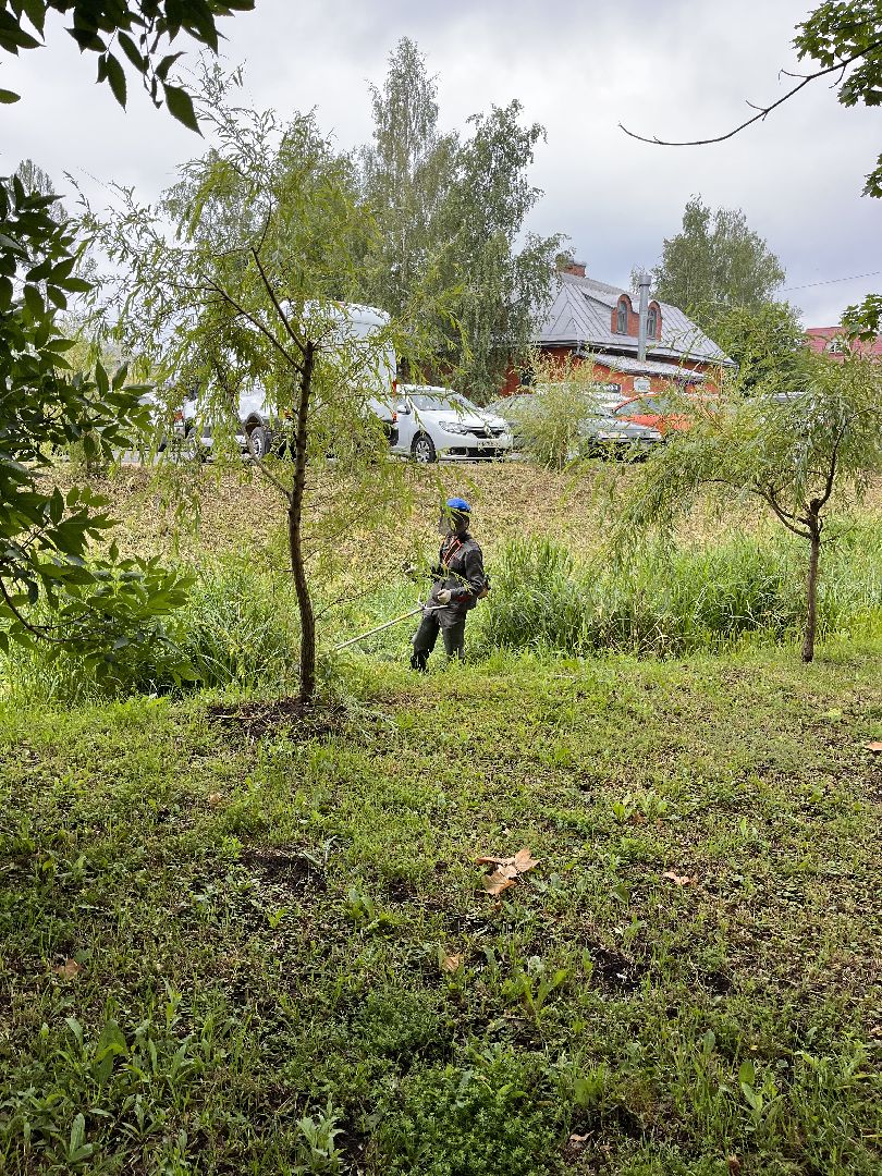 Шаховская, трава, покос, Лера, благоустройство