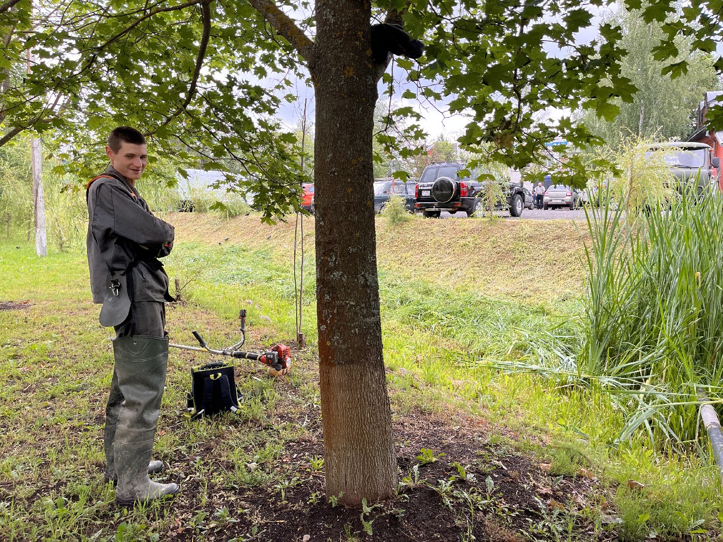 Шаховская, трава, покос, Лера, благоустройство