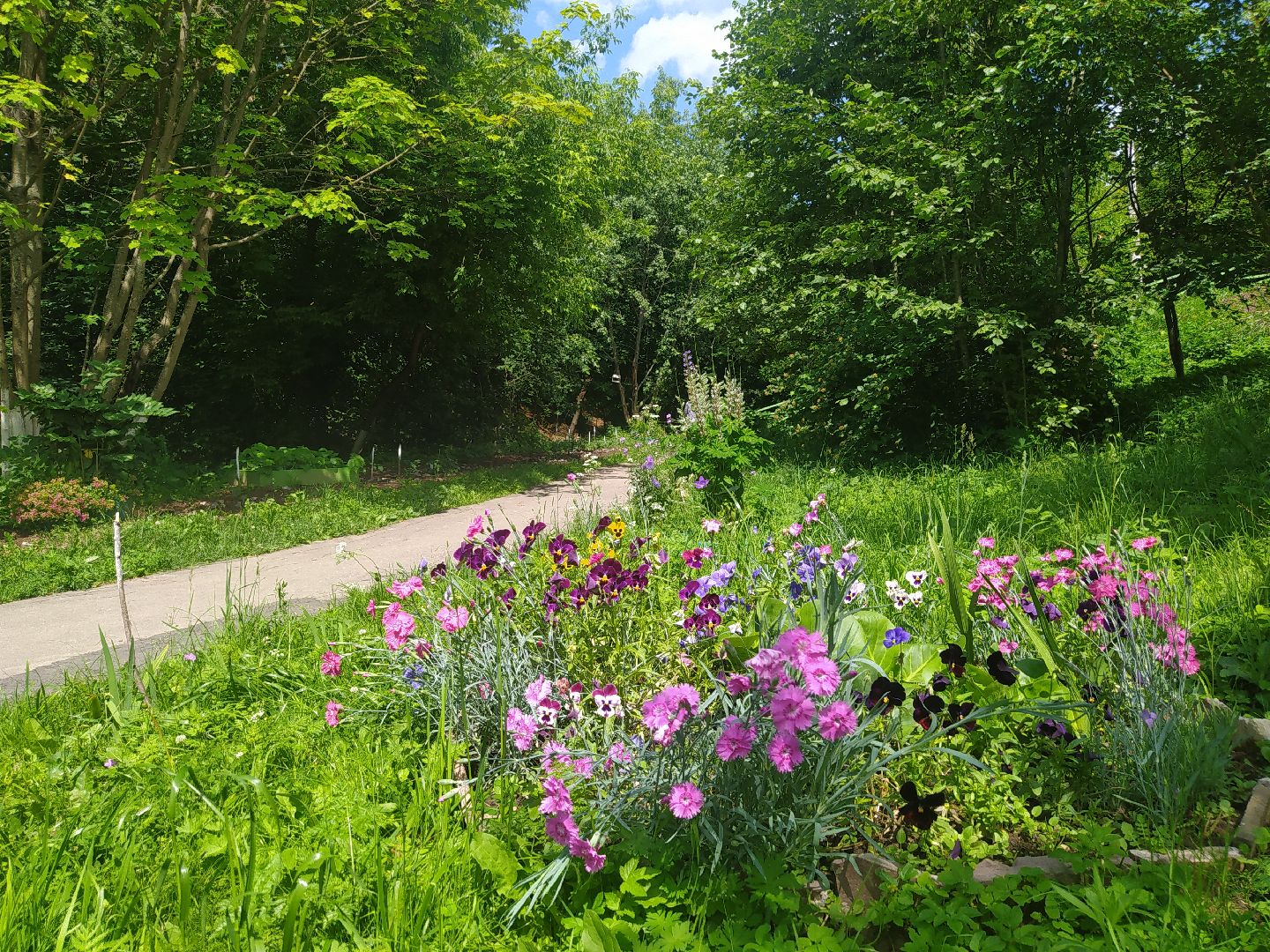 Нахабино, благоустройство, родники, святой источник