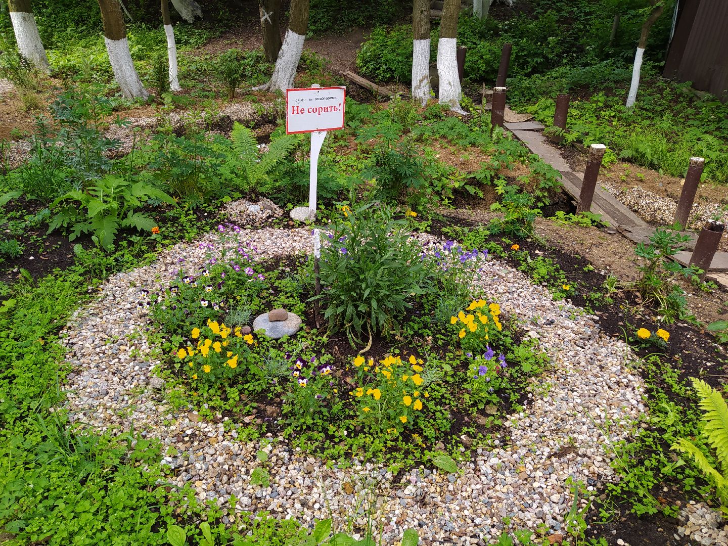 Нахабино, родник, святой источник, благоустройство