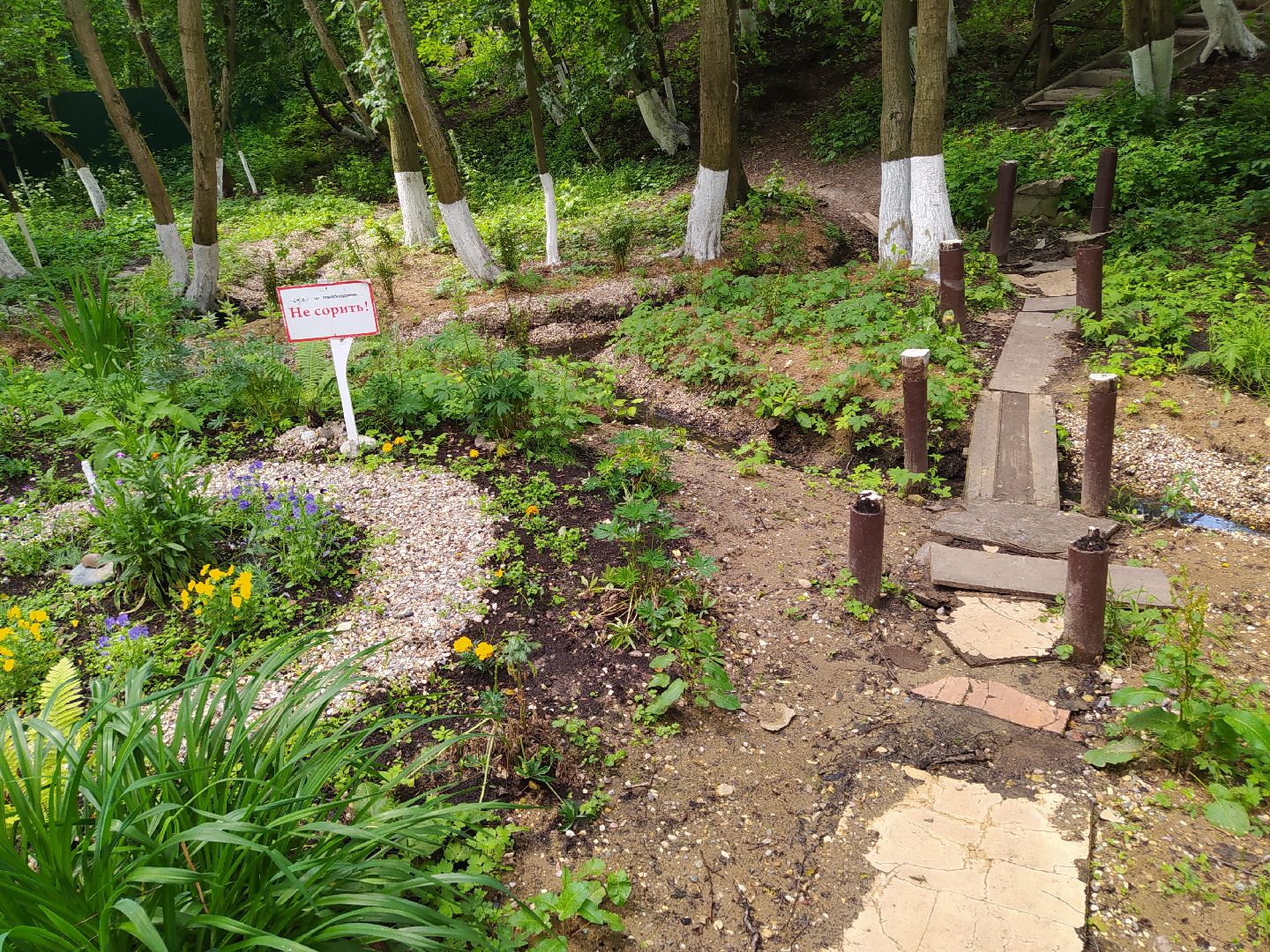 Нахабино, родник, святой источник, благоустройство