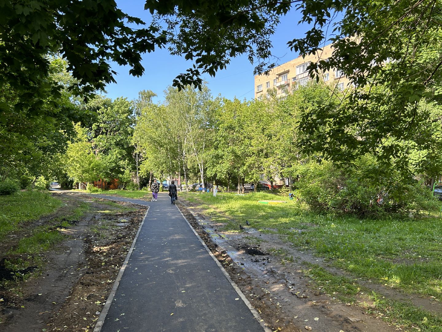 Народная тропа, программа губернатора, Фрязино, благоустройство