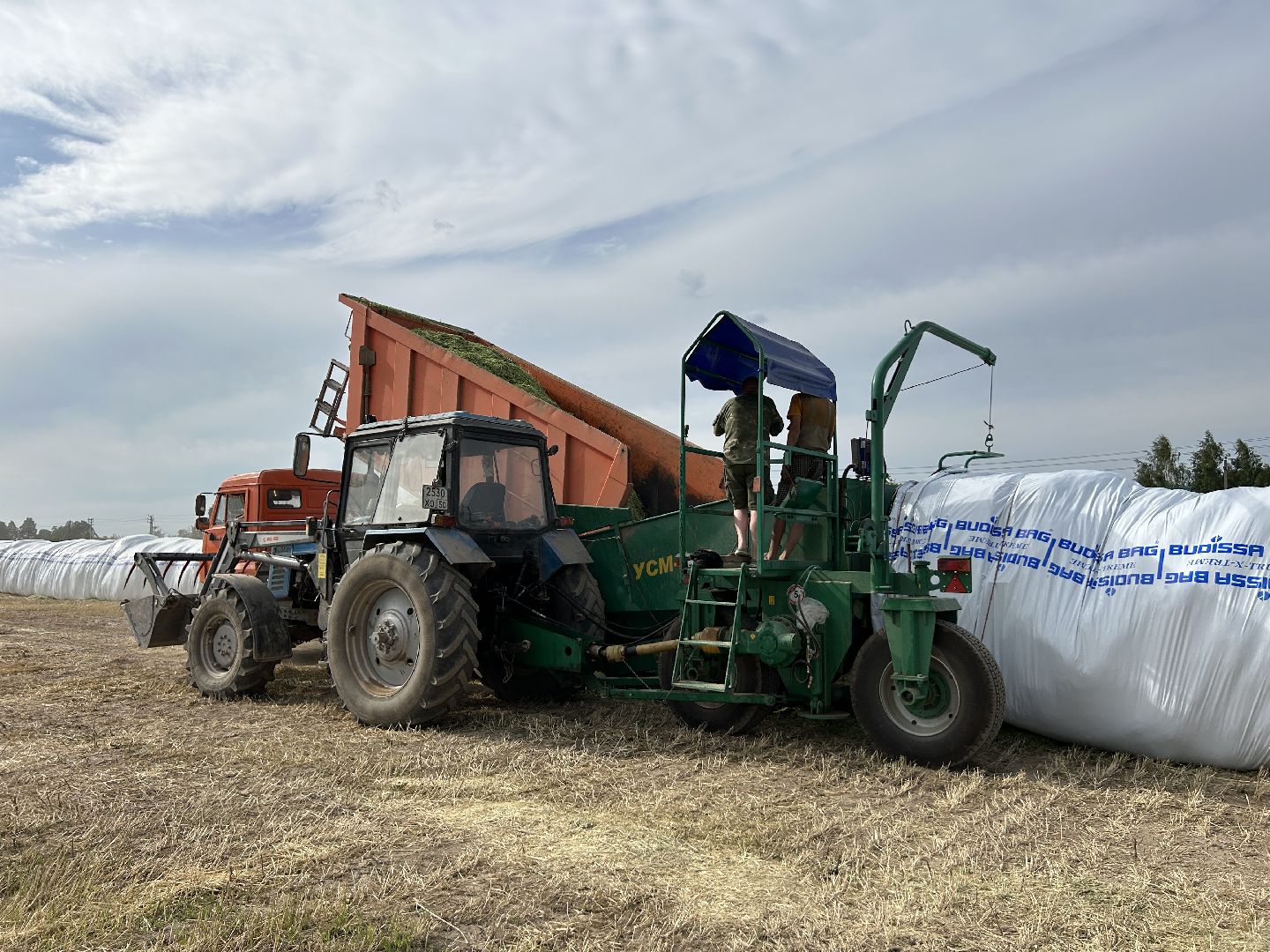 сельское хозяйство, ферма, аренда земли, Щёлково