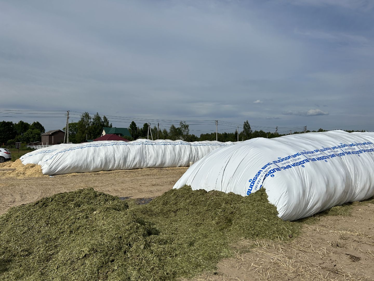 сельское хозяйство, ферма, аренда земли, Щёлково