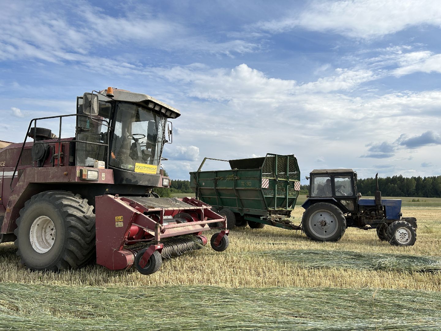 сельское хозяйство, ферма, аренда земли, Щёлково