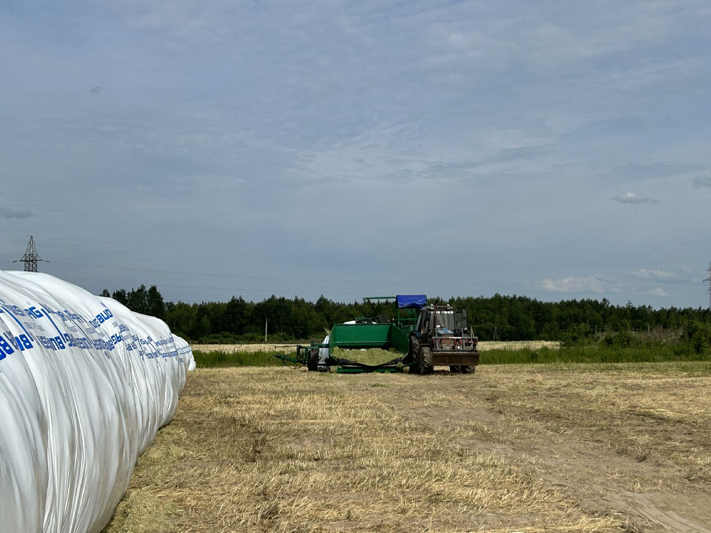 сельское хозяйство, ферма, аренда земли, Щёлково