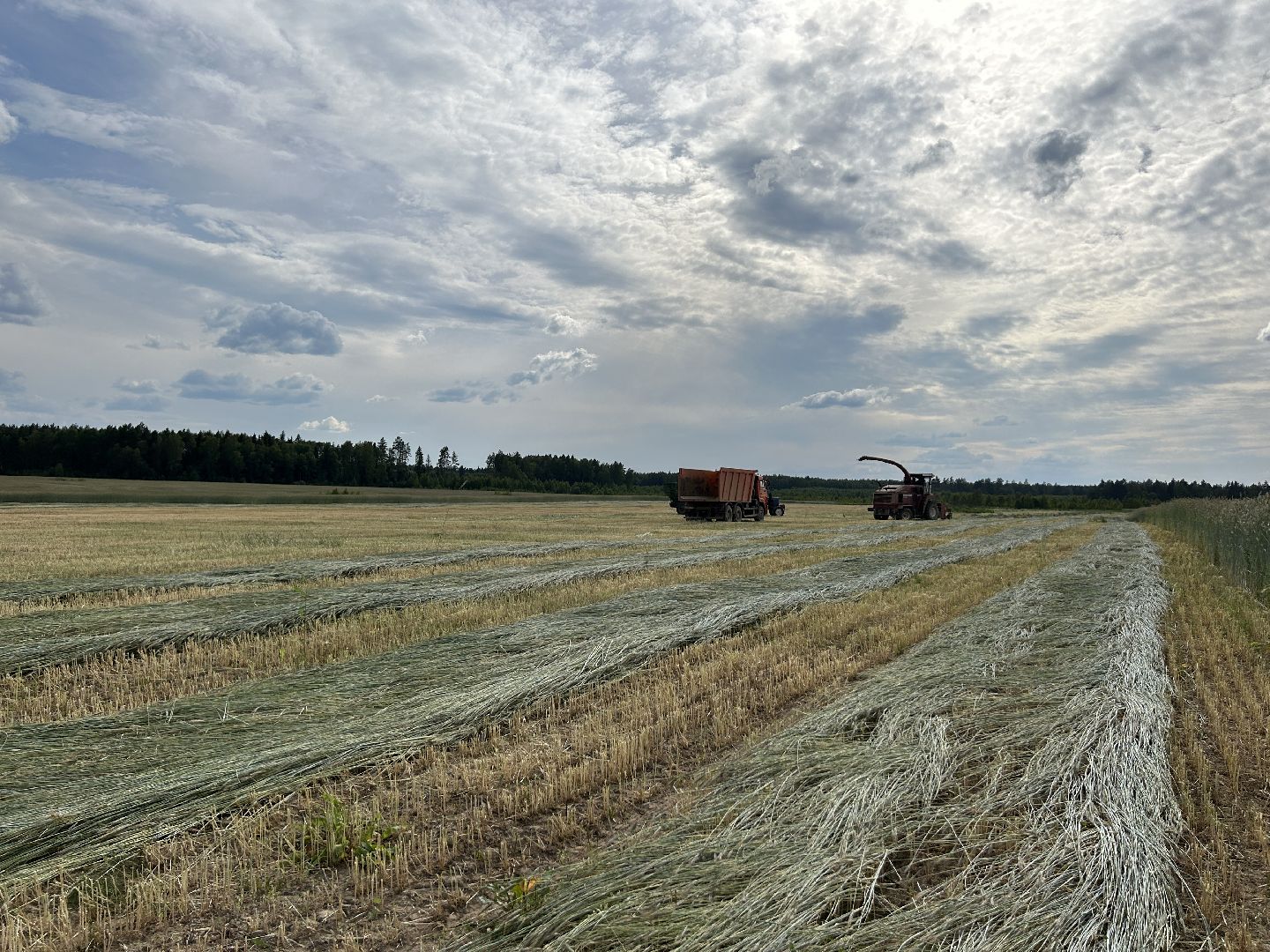 сельское хозяйство, ферма, аренда земли, Щёлково