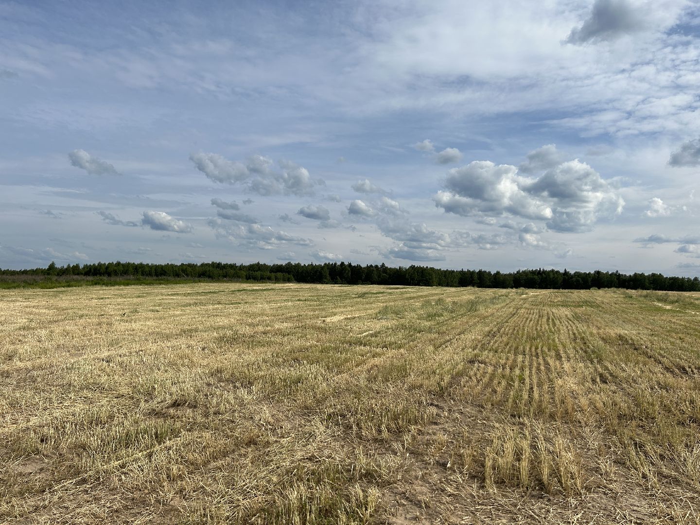 сельское хозяйство, ферма, аренда земли, Щёлково