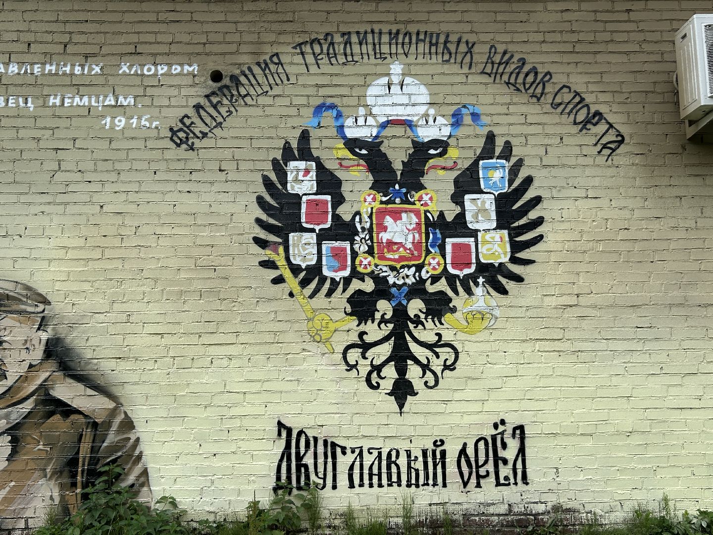 Граффити, Фрязино