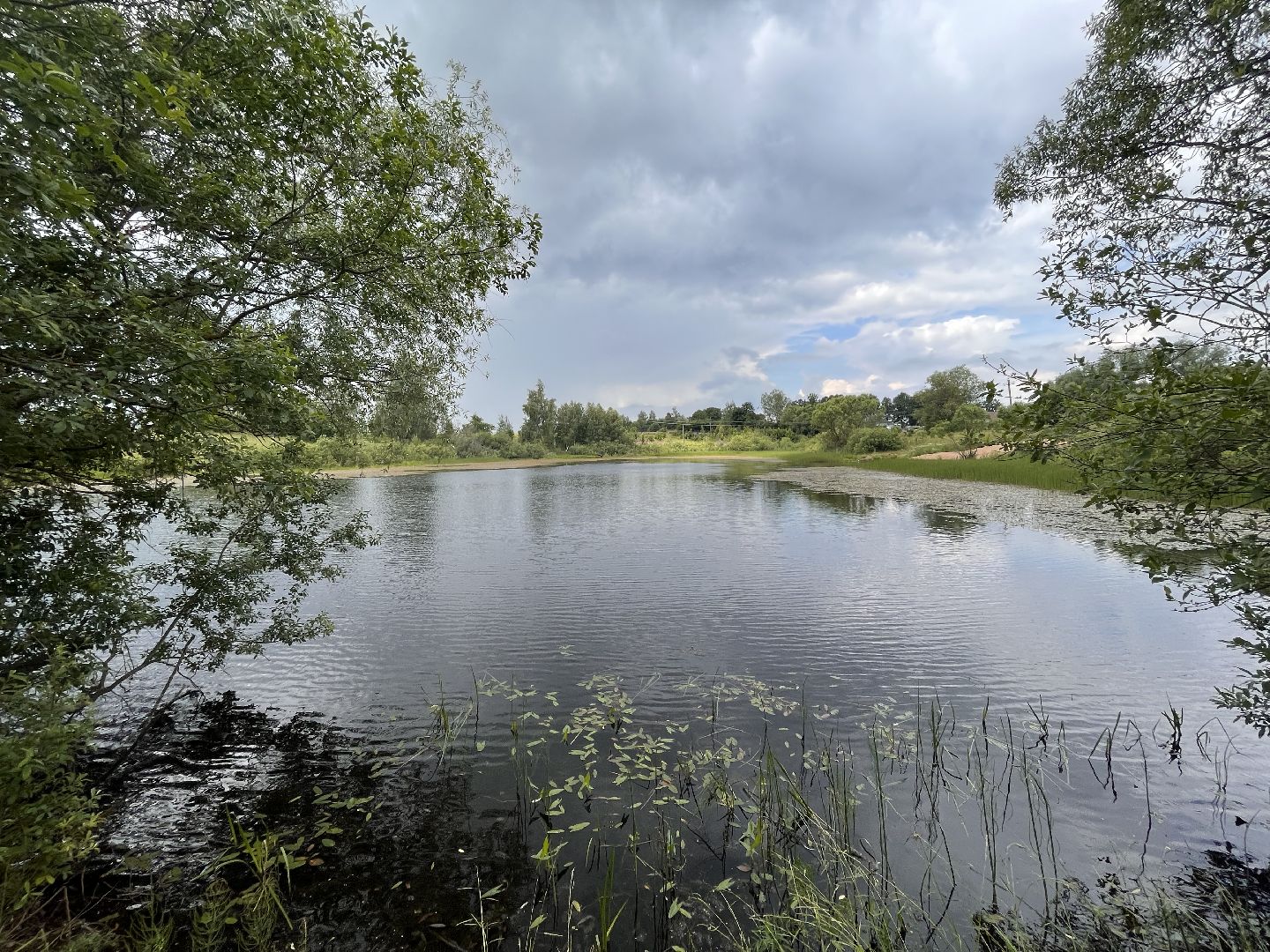 Шаховская, водоем, плотина, отдых, туризм