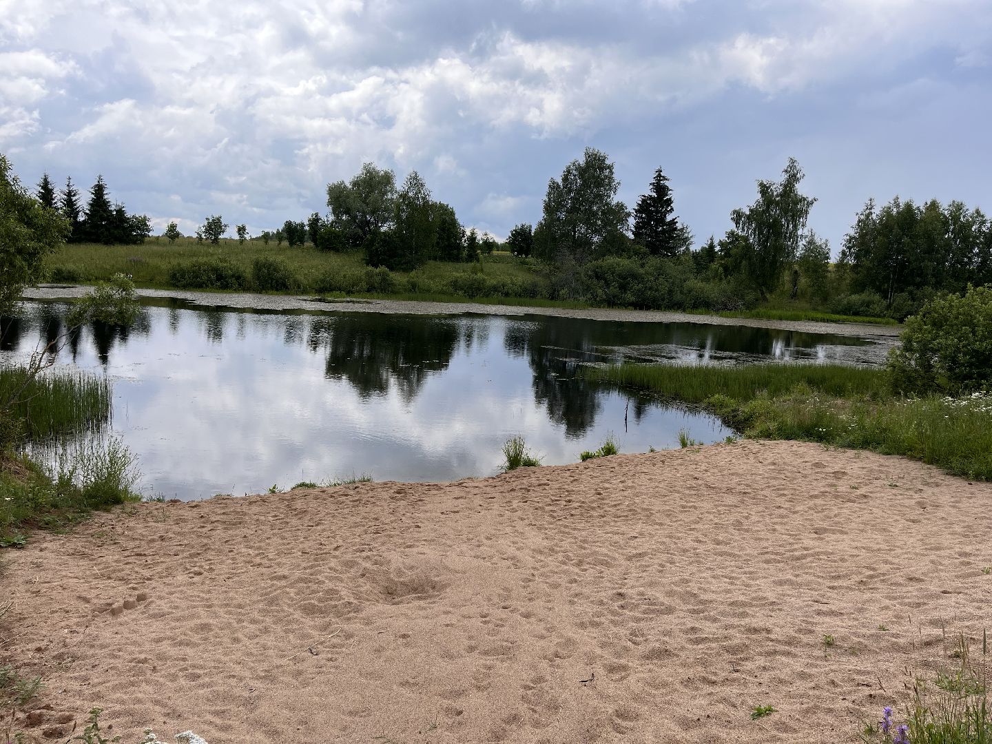 Шаховская, водоем, плотина, отдых, туризм