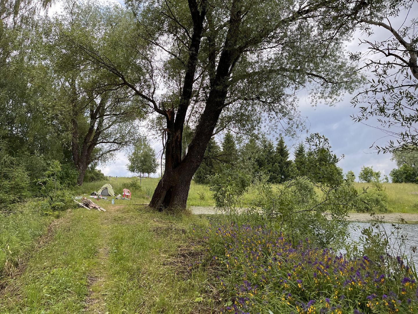 Шаховская, водоем, плотина, отдых, туризм