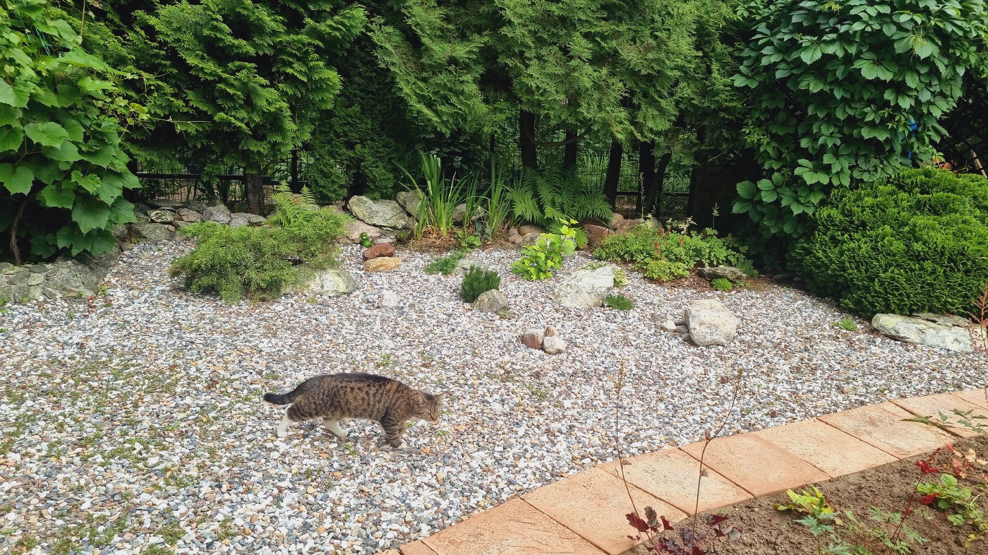 Подмосковье, Ивантеевка, благоустройство