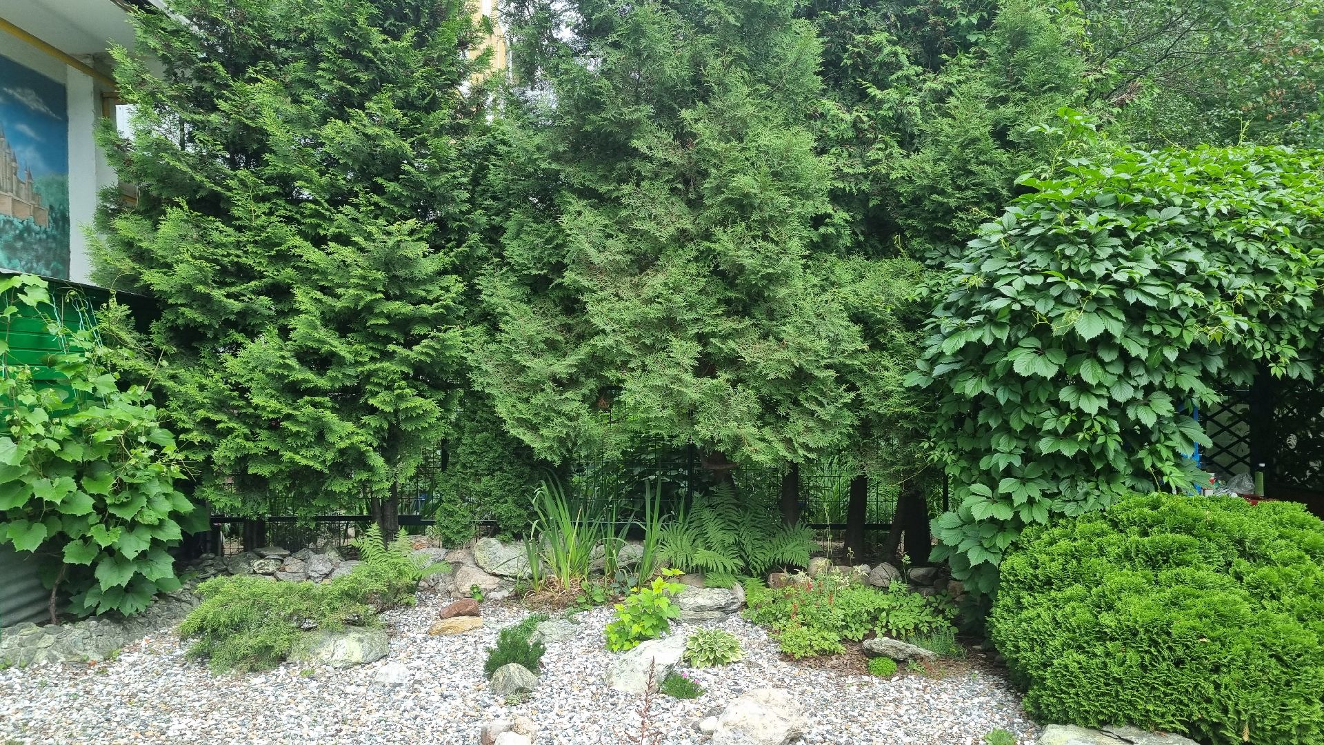 Подмосковье, Ивантеевка, благоустройство