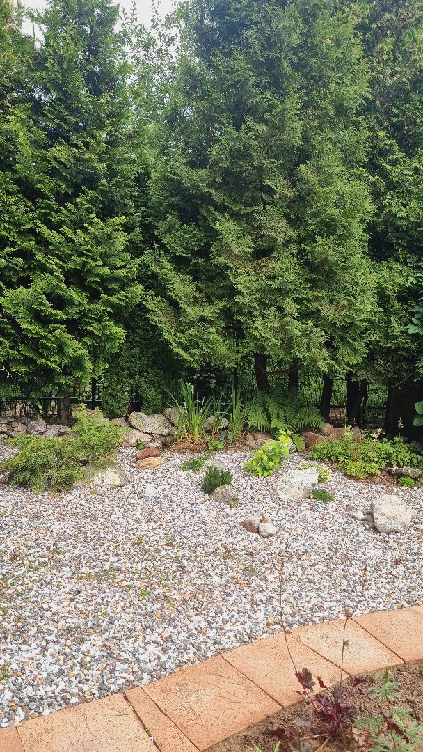 Подмосковье, Ивантеевка, благоустройство