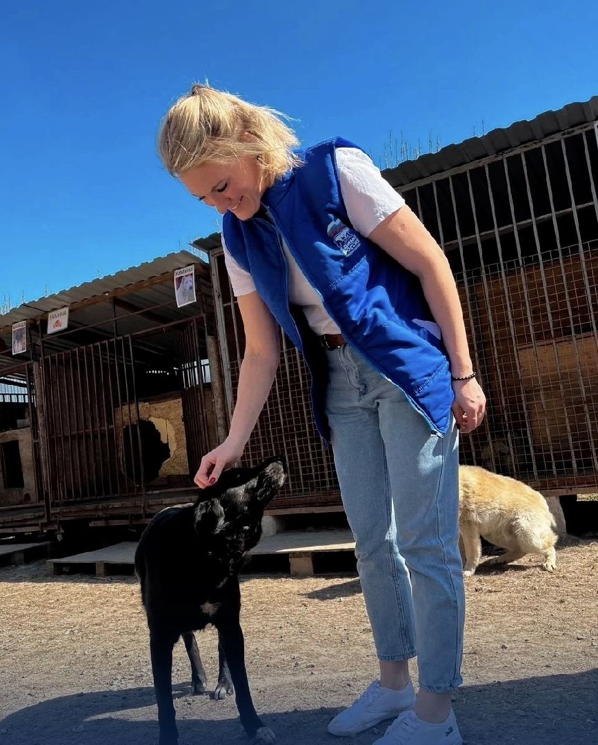 Домодедово, волонтеры, приют, крышечки добра, пластиковые крышечки