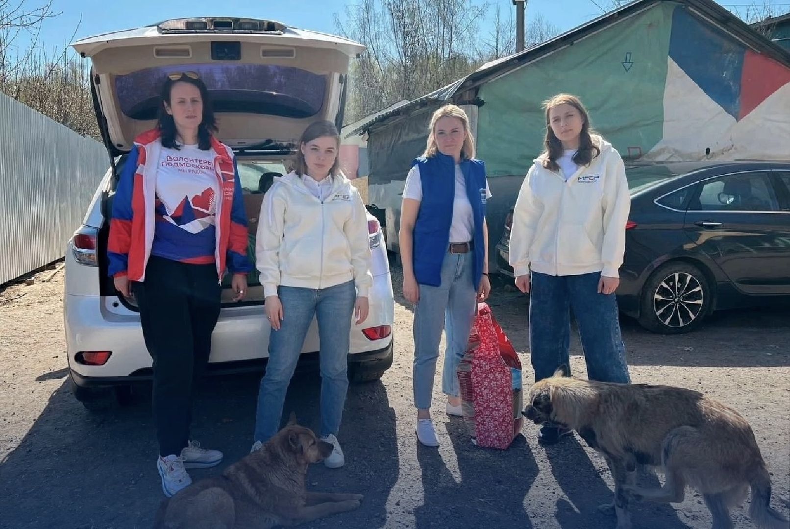 Домодедово, волонтеры, приют, крышечки добра, пластиковые крышечки