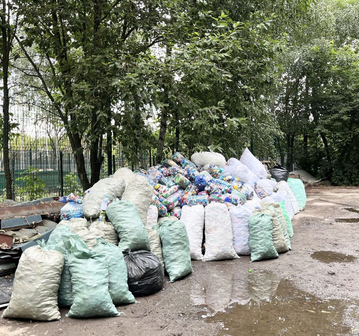 Домодедово, волонтеры, приют, крышечки добра, пластиковые крышечки