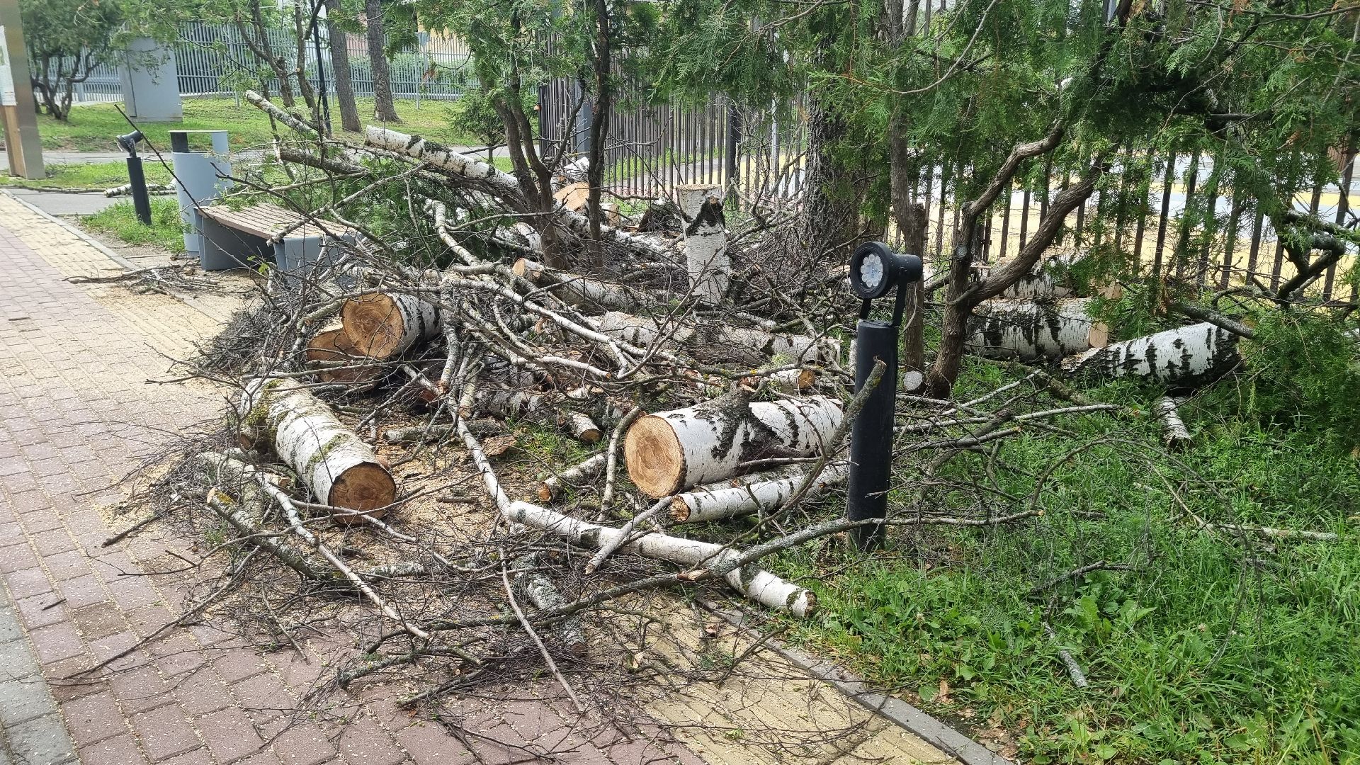Подмосковье, Ивантеевка, благоустройство, Парки Подмосковья