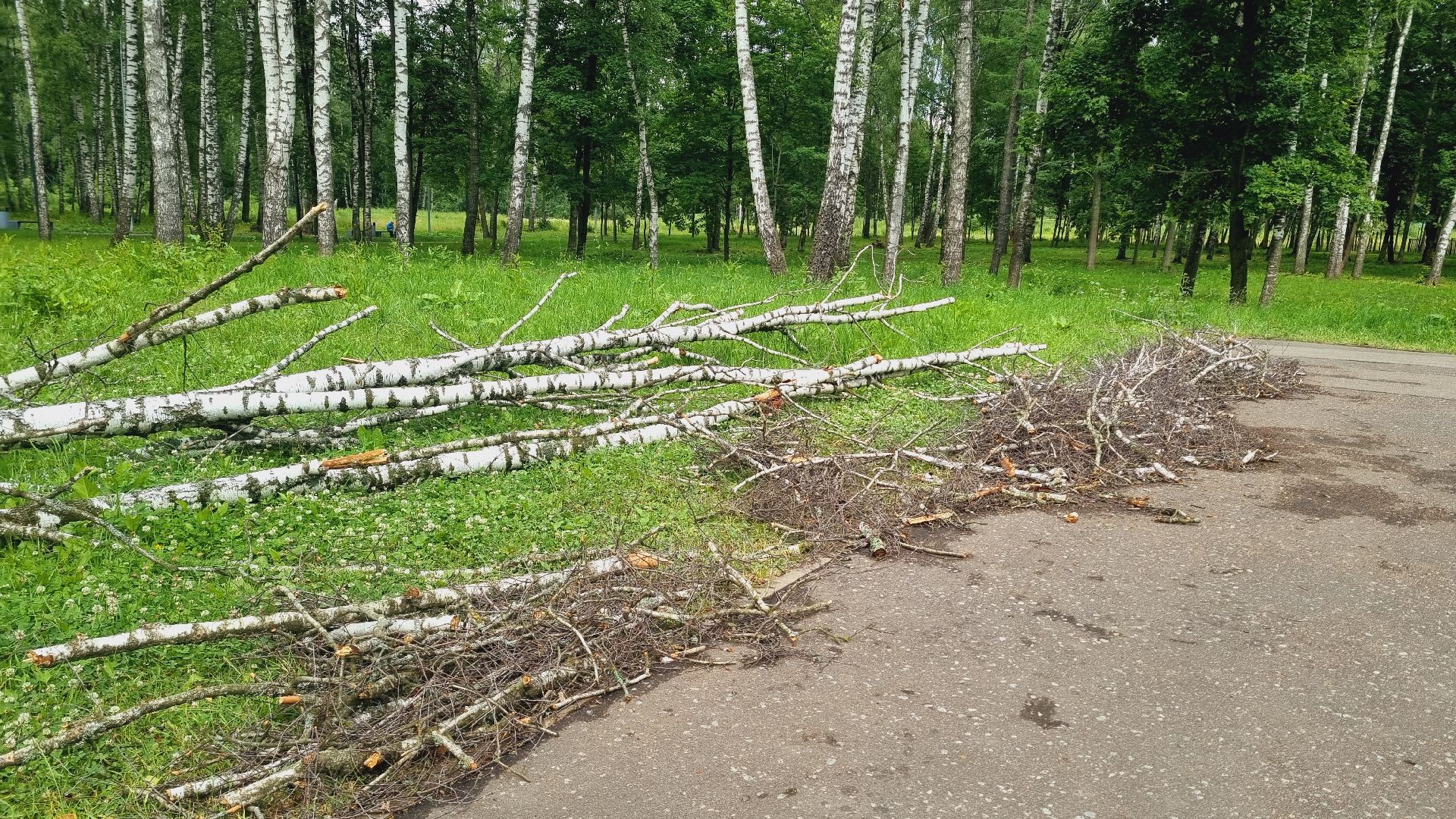 Подмосковье, Ивантеевка, благоустройство, Парки Подмосковья