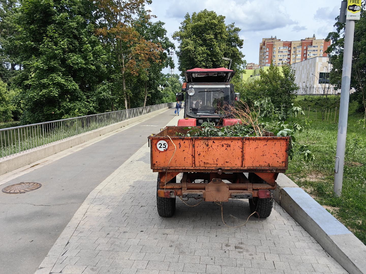 Сухостои, деревья, обрезка, благоустройство