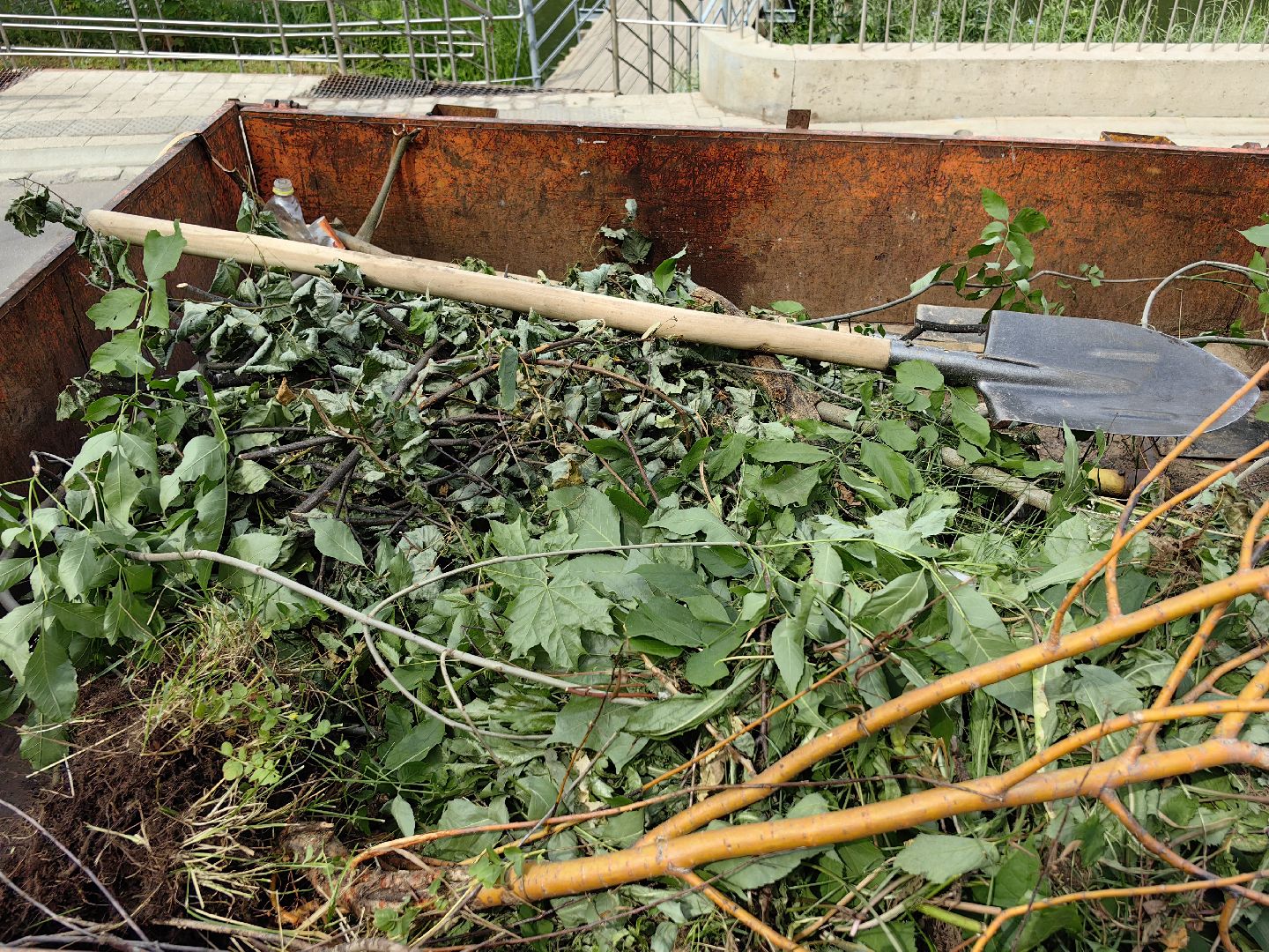 Сухостои, деревья, обрезка, благоустройство