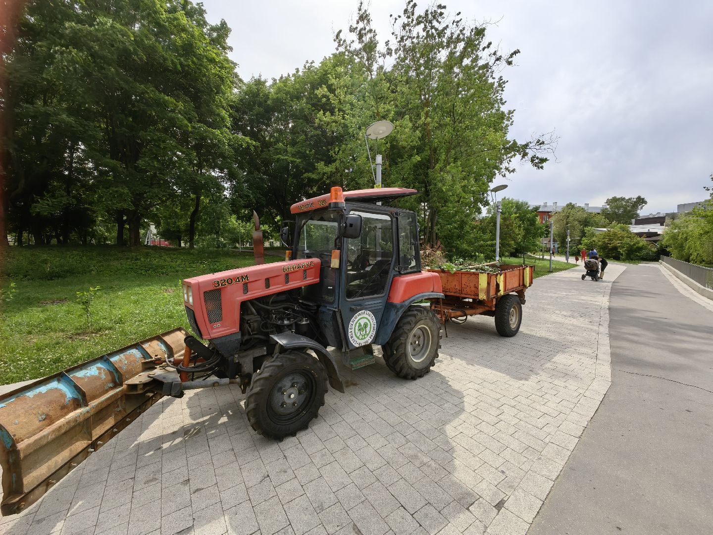 Сухостои, деревья, обрезка, благоустройство