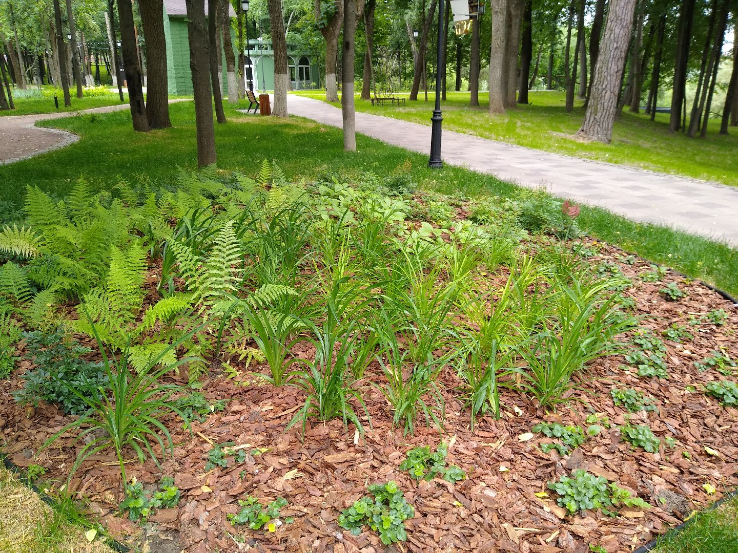 Раменское, благоустройство, парк, озеленение