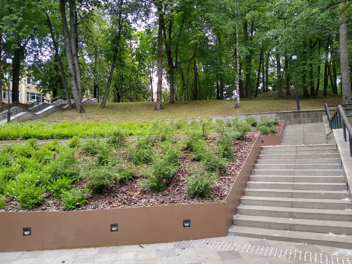 Раменское, благоустройство, парк, озеленение