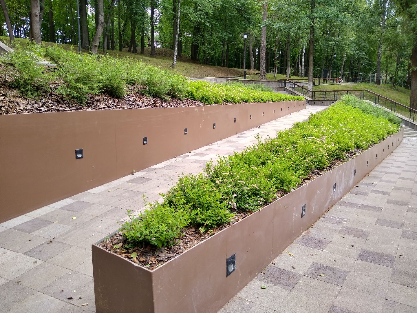 Раменское, благоустройство, парк, озеленение