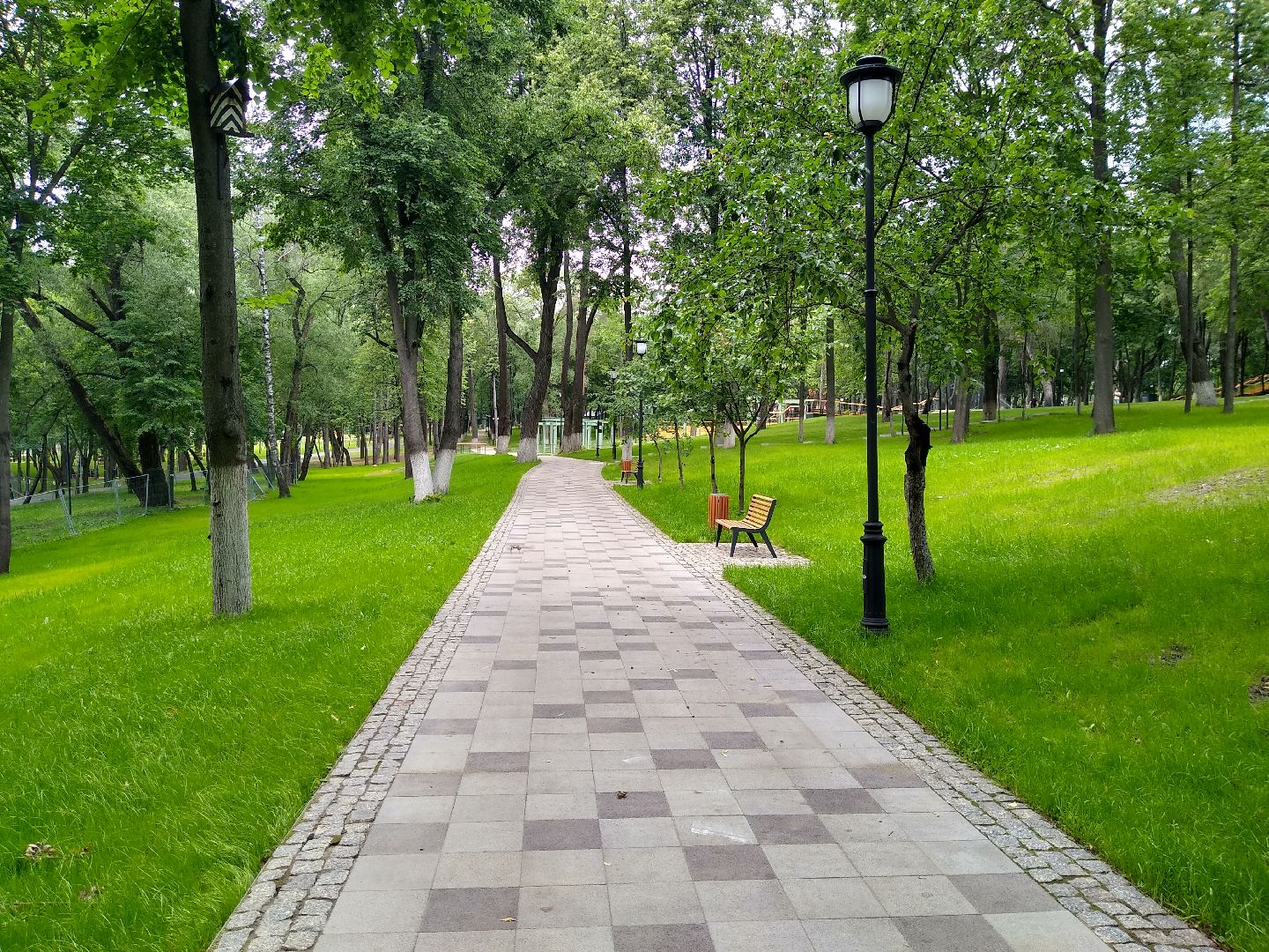 Раменское, благоустройство, парк, озеленение