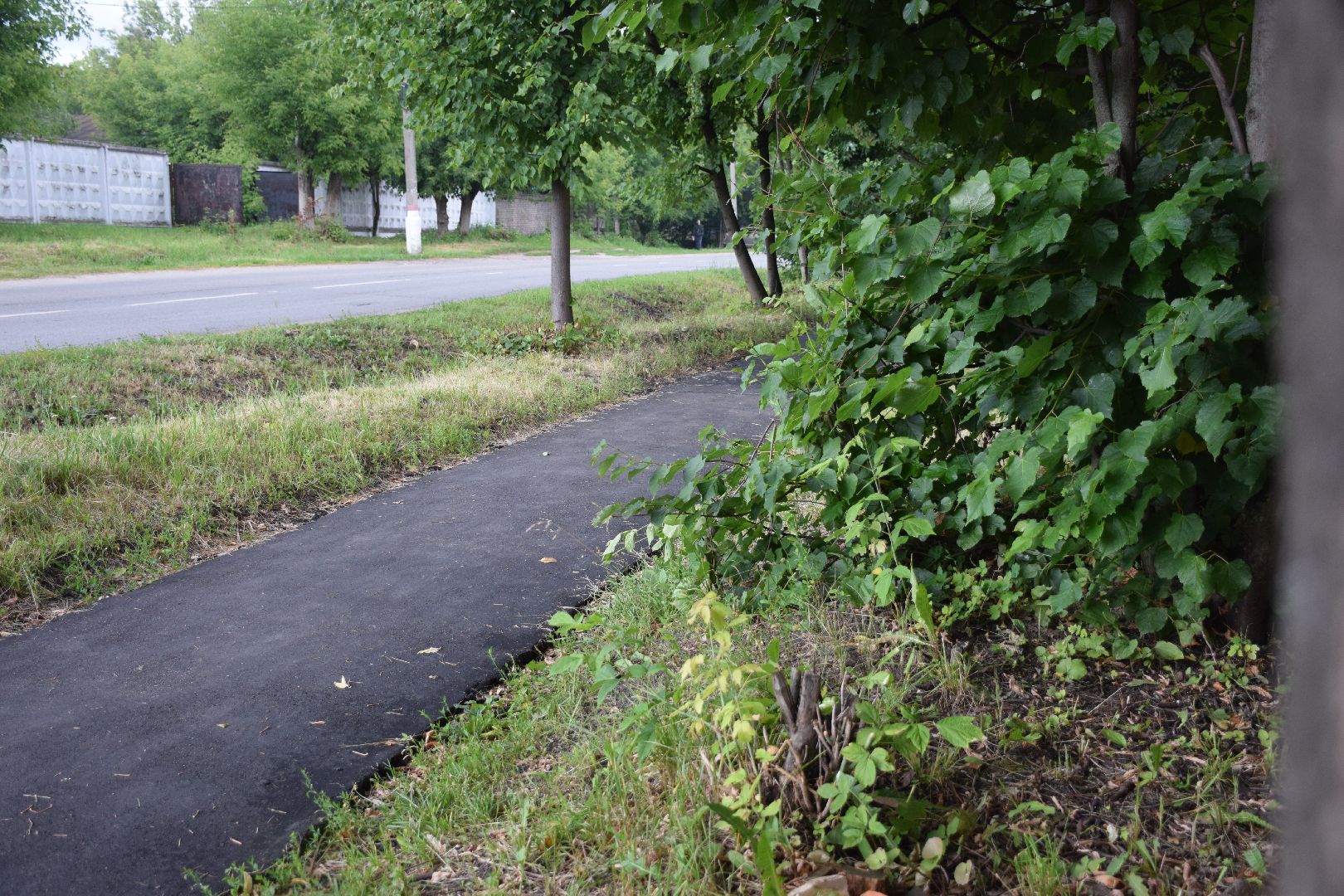 Павловский Посад, городской округ Павловский Посад, тротуар, дорога асфальт, пешеходы
