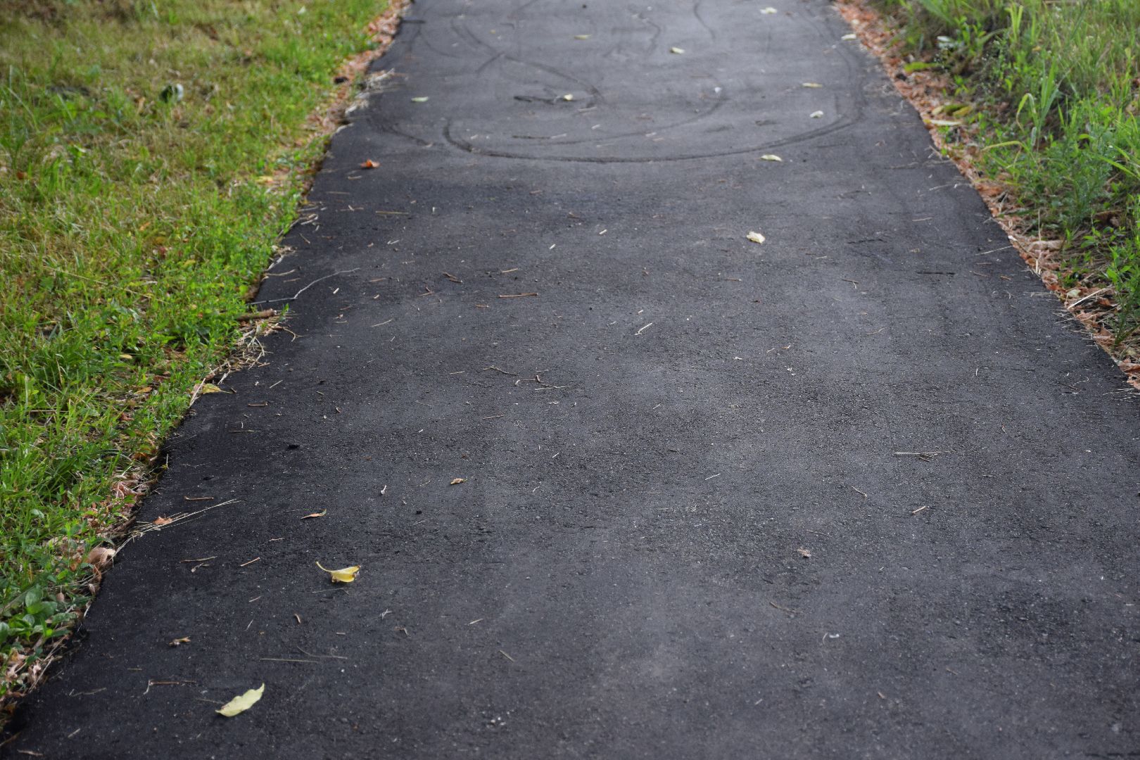 Павловский Посад, городской округ Павловский Посад, тротуар, дорога асфальт, пешеходы