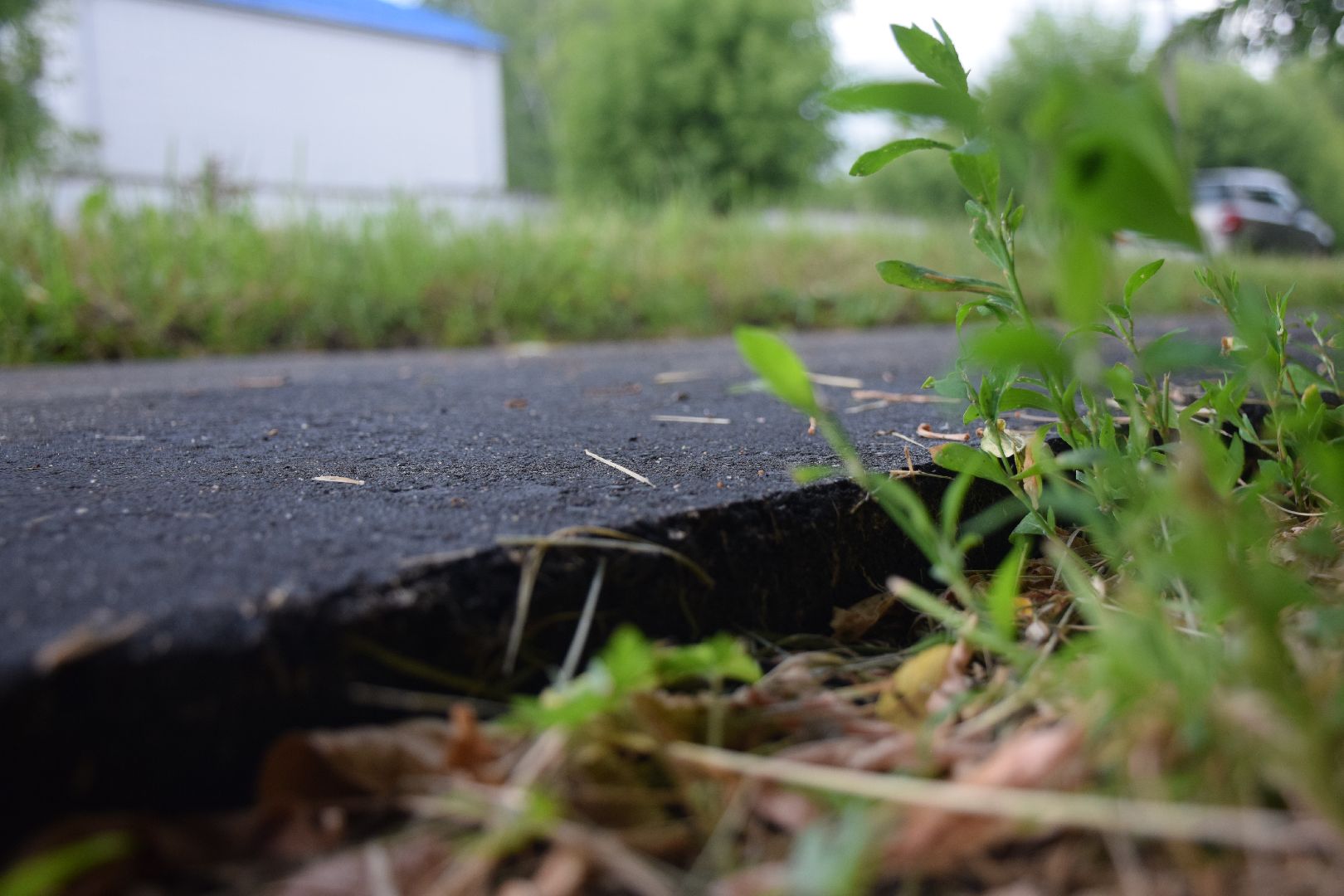 Павловский Посад, городской округ Павловский Посад, тротуар, дорога асфальт, пешеходы