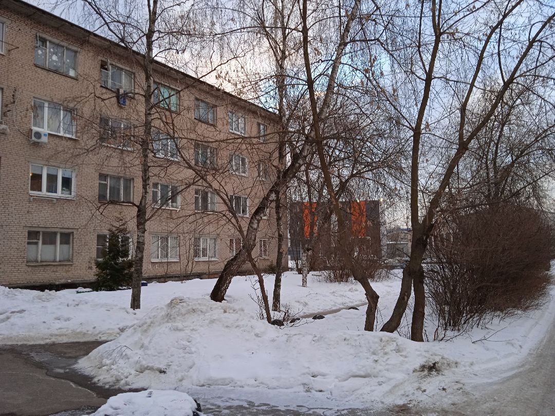 Город-сад, рассада, озеленение, бесплатно, Жуковский, волонтёры