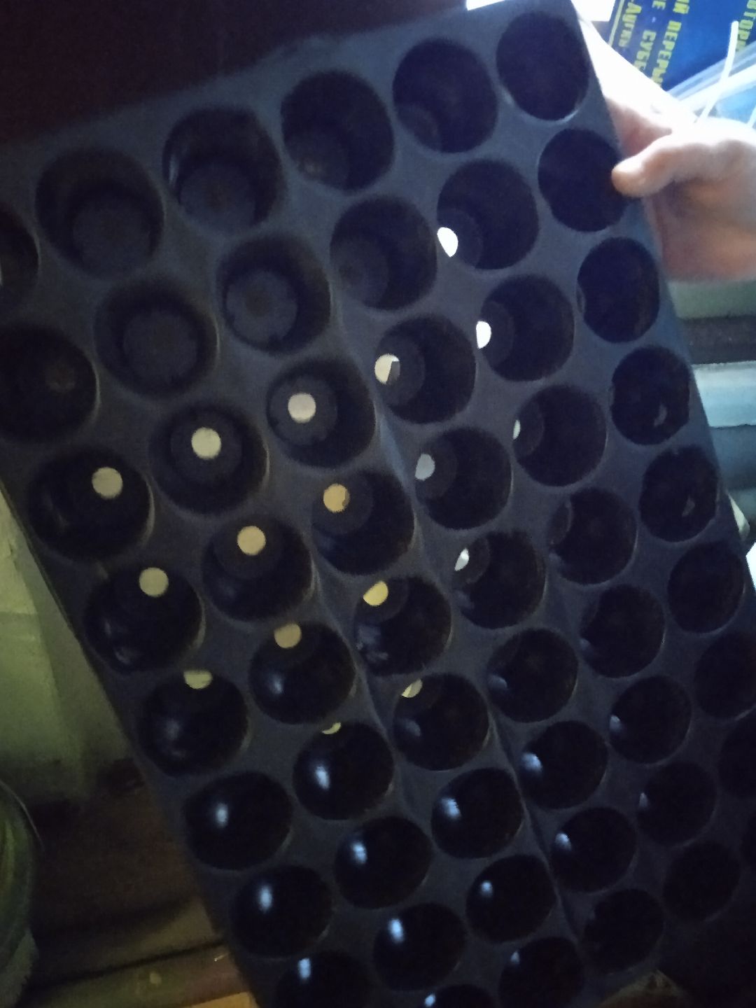 Город-сад, рассада, озеленение, бесплатно, Жуковский, волонтёры