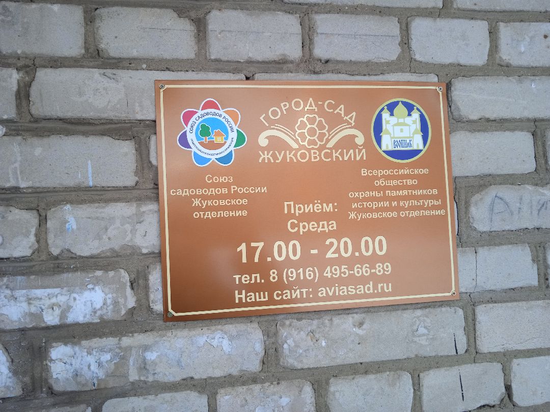 Город-сад, рассада, озеленение, бесплатно, Жуковский, волонтёры