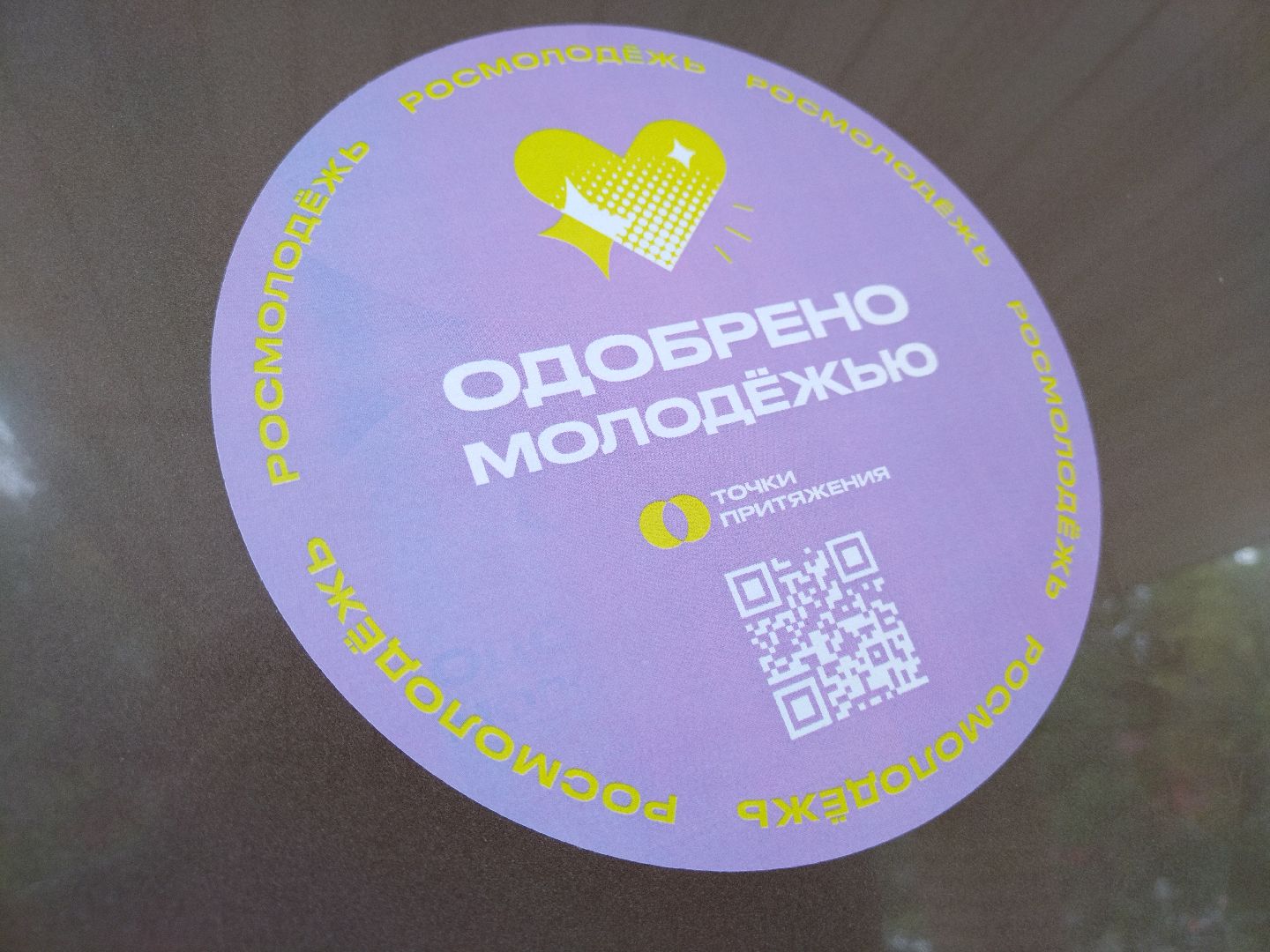 Точки притяжения, Мытищи, историко-художественный музей, Росмолодежь