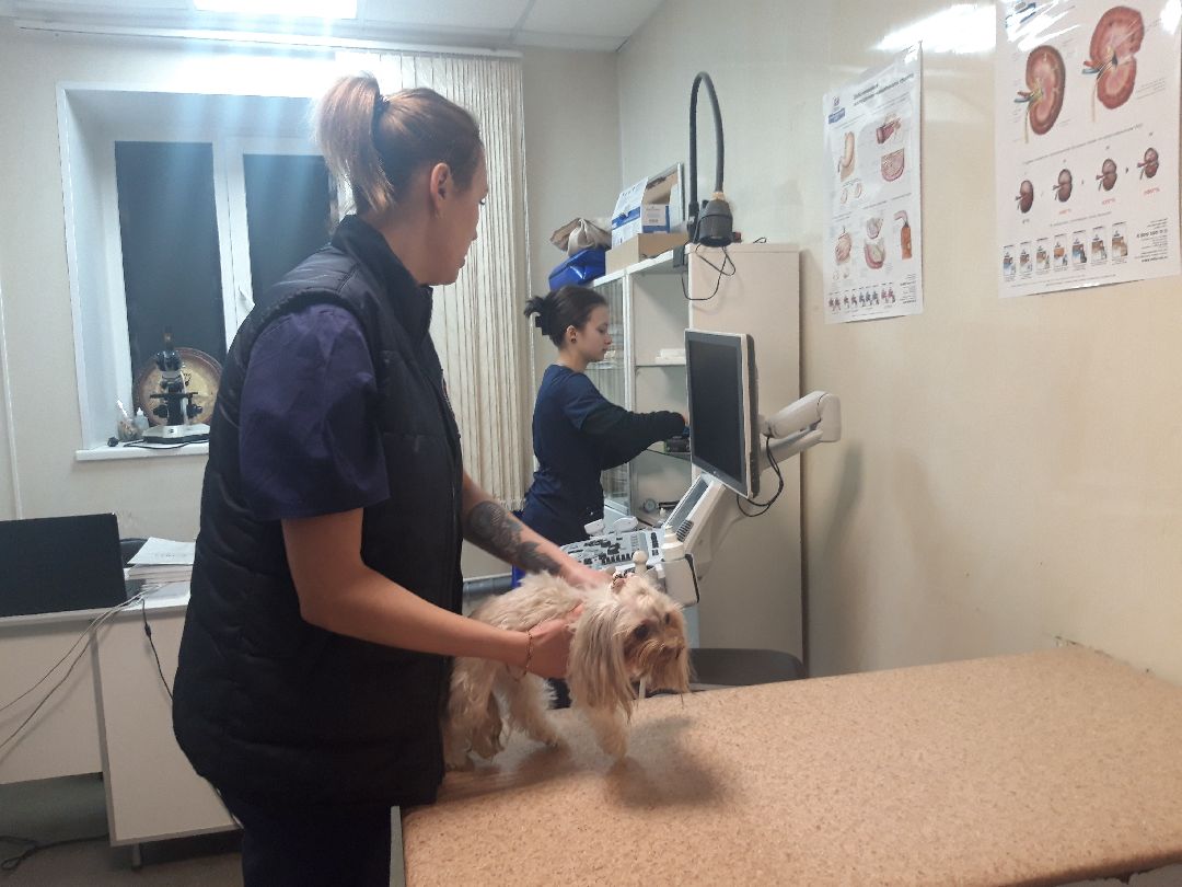 Доброе дело, предупреждение,