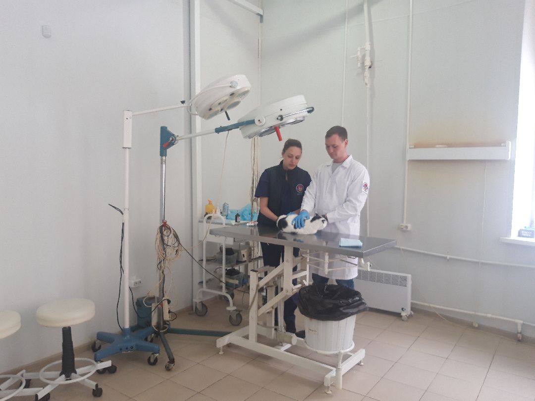 Доброе дело, предупреждение,