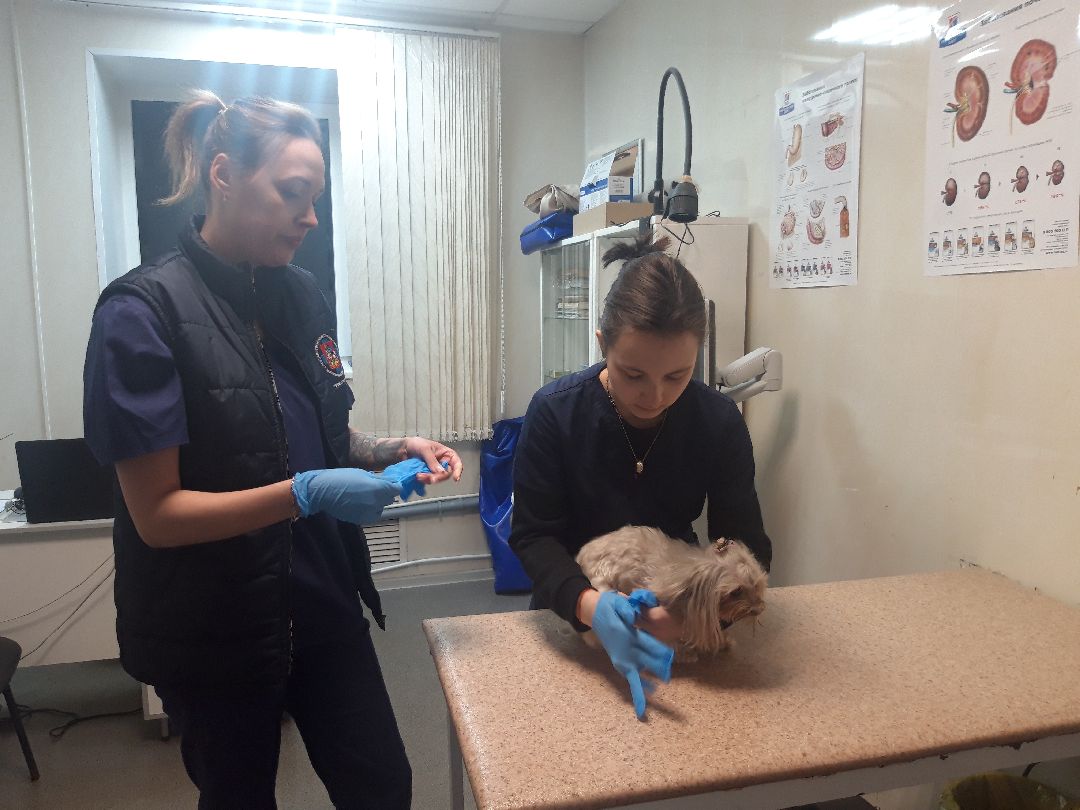 Доброе дело, предупреждение,